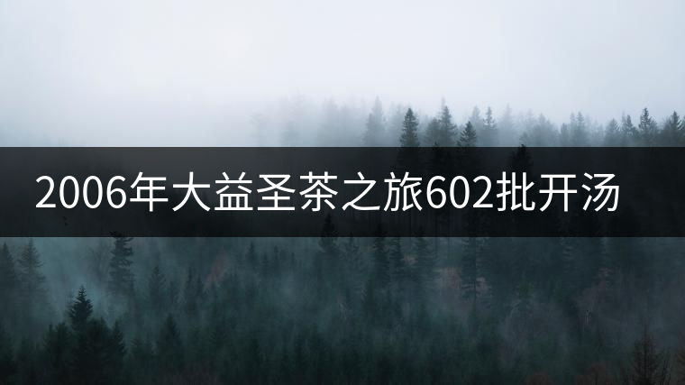 2006年大益圣茶之旅602批開(kāi)湯賞析 2006年大益圣茶之旅602批開(kāi)湯賞析