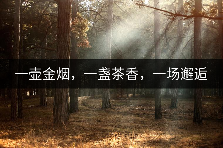 一壺金煙，一盞茶香，一場邂逅