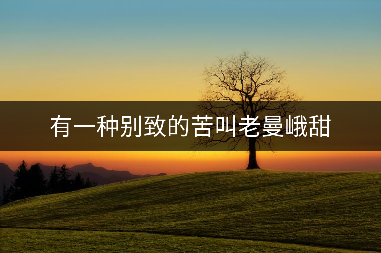 有一種別致的苦叫老曼峨甜