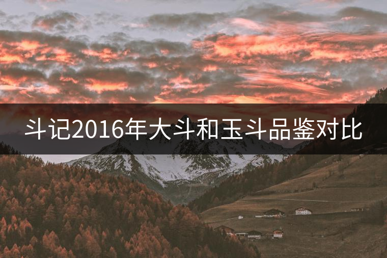 斗記2016年大斗和玉斗品鑒對(duì)比 斗記2016年大斗和玉斗品鑒對(duì)比