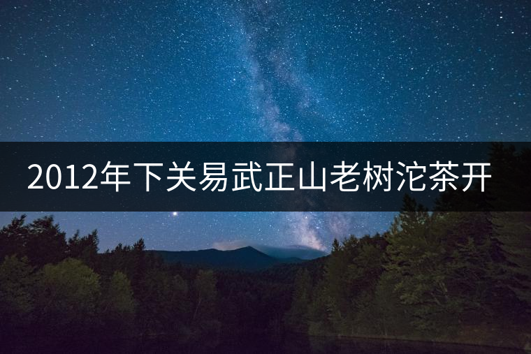 2012年下關(guān)易武正山老樹沱茶開湯 2012年下關(guān)易武正山老樹沱茶開湯