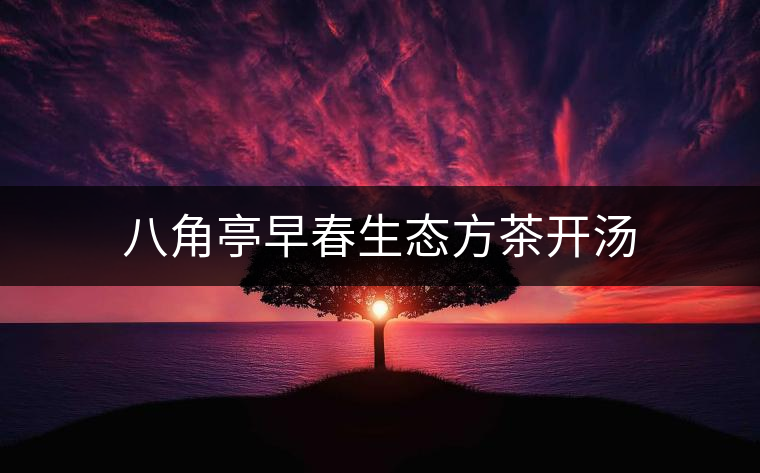 八角亭早春生態(tài)方茶開(kāi)湯 八角亭早春生態(tài)方茶開(kāi)湯
