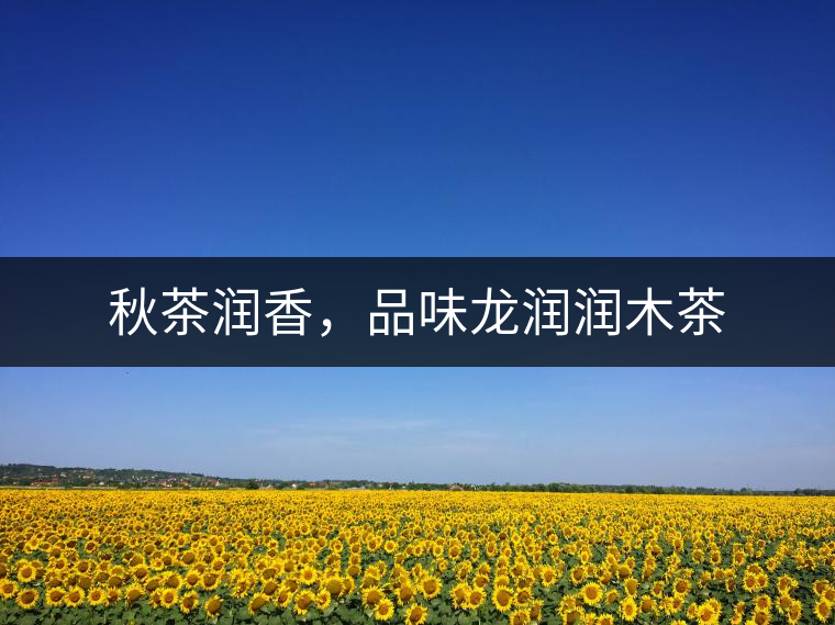 秋茶潤香，品味龍潤潤木茶