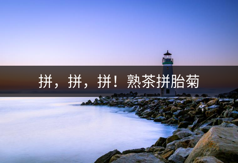 拼，拼，拼！熟茶拼胎菊