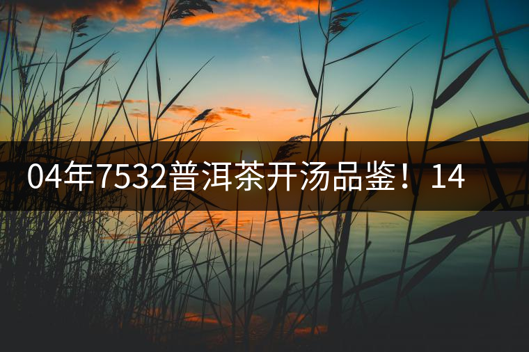 04年7532普洱茶開湯品鑒！14年轉(zhuǎn)化，經(jīng)典雪印配方！