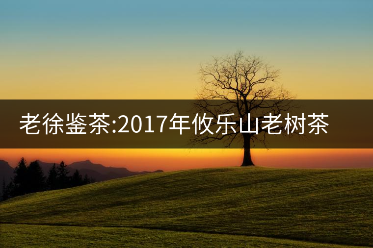 老徐鑒茶:2017年攸樂山老樹茶品鑒報(bào)告 老徐鑒茶:2017年攸樂山老樹茶品鑒報(bào)告