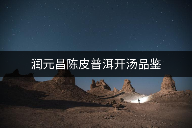 潤元昌陳皮普洱開湯品鑒 潤元昌陳皮普洱開湯品鑒