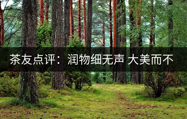 茶友點(diǎn)評(píng):潤(rùn)物細(xì)無(wú)聲 大美而不言——潤(rùn)元昌大美之春熟茶 茶友點(diǎn)評(píng):潤(rùn)物細(xì)無(wú)聲 大美而不言——潤(rùn)元昌大美之春熟茶
