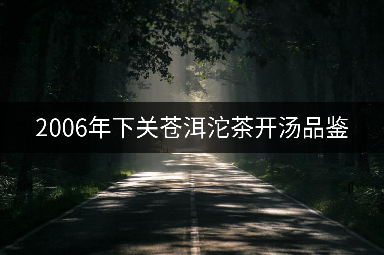 2006年下關(guān)蒼洱沱茶開(kāi)湯品鑒 2006年下關(guān)蒼洱沱茶開(kāi)湯品鑒