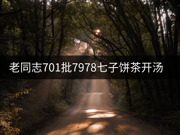 老同志701批7978七子餅茶開(kāi)湯品鑒 老同志701批7978七子餅茶開(kāi)湯品鑒