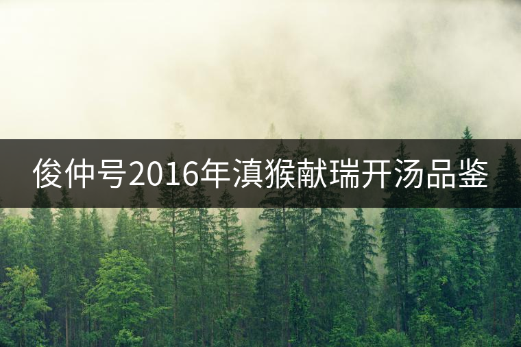 俊仲號(hào)2016年滇猴獻(xiàn)瑞開湯品鑒 俊仲號(hào)2016年滇猴獻(xiàn)瑞開湯品鑒