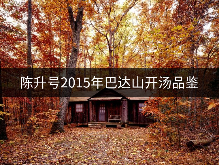 陳升號2015年巴達(dá)山開湯品鑒 陳升號2015年巴達(dá)山開湯品鑒