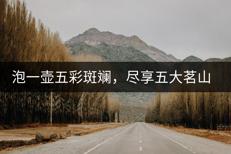 泡一壺五彩斑斕，盡享五大茗山之味