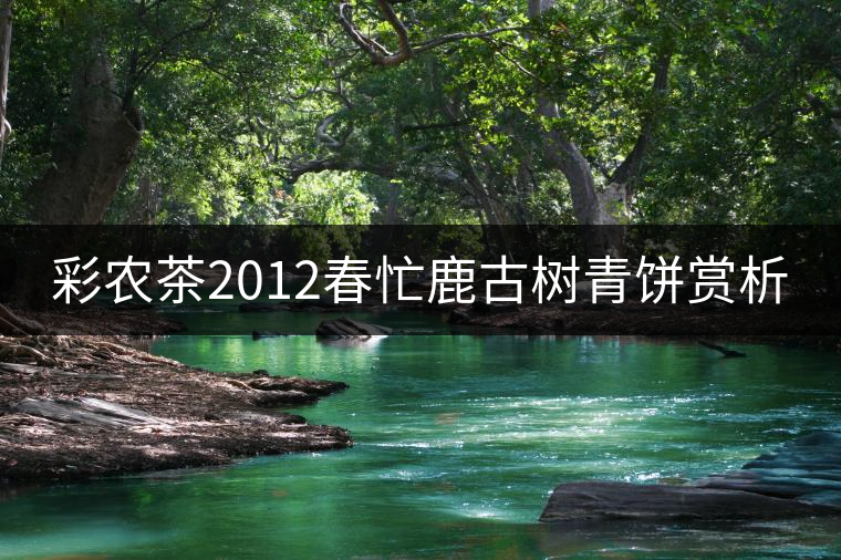 彩農茶2012春忙鹿古樹青餅賞析 彩農茶2012春忙鹿古樹青餅賞析