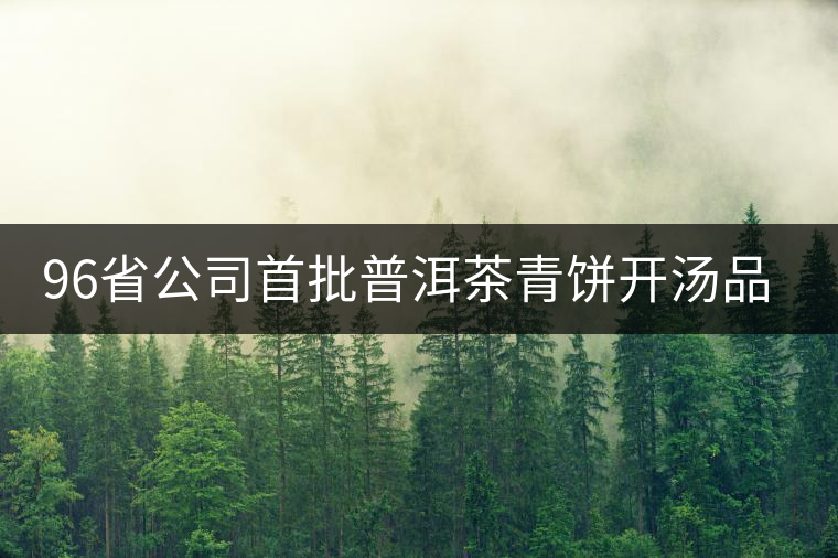 96省公司首批普洱茶青餅開湯品鑒 96省公司首批普洱茶青餅開湯品鑒