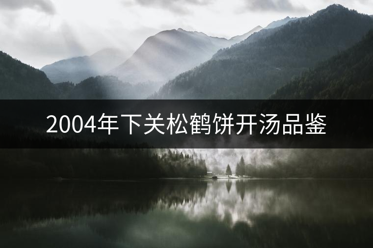 2004年下關(guān)松鶴餅開湯品鑒