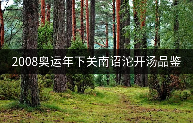 2008奧運年下關南詔沱開湯品鑒 2008奧運年下關南詔沱開湯品鑒