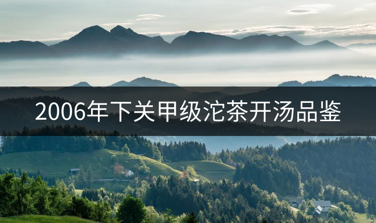 2006年下關甲級沱茶開湯品鑒