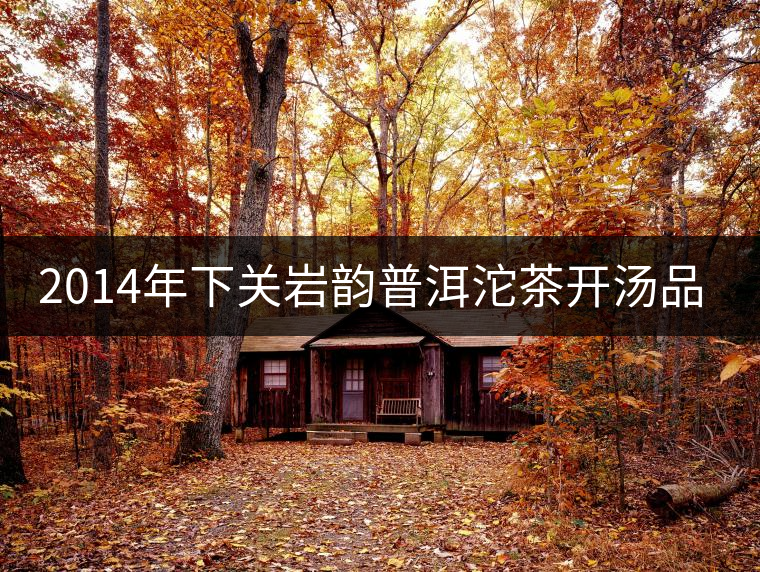 2014年下關(guān)巖韻普洱沱茶開湯品鑒 2014年下關(guān)巖韻普洱沱茶開湯品鑒