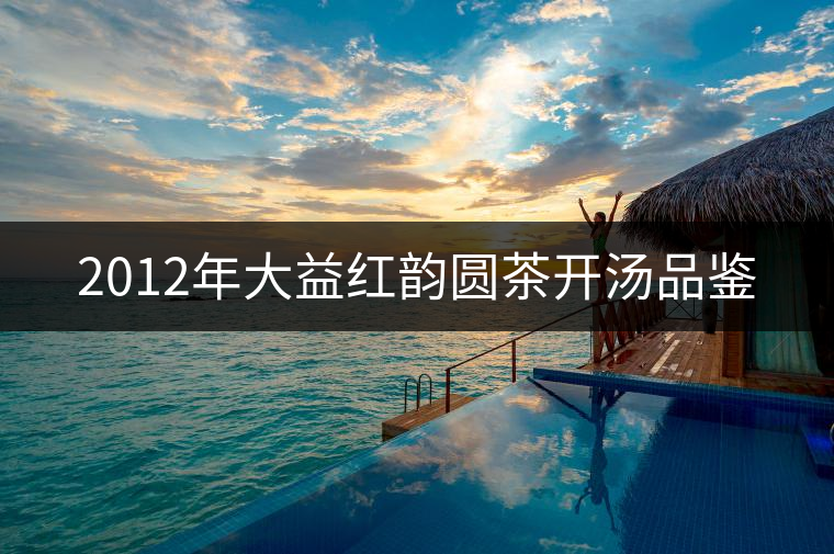 2012年大益紅韻圓茶開湯品鑒 2012年大益紅韻圓茶開湯品鑒