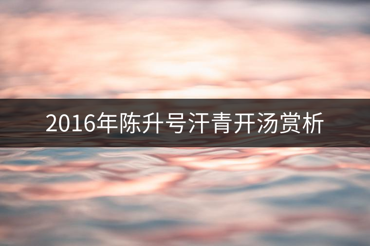 2016年陳升號(hào)汗青開(kāi)湯賞析 2016年陳升號(hào)汗青開(kāi)湯賞析