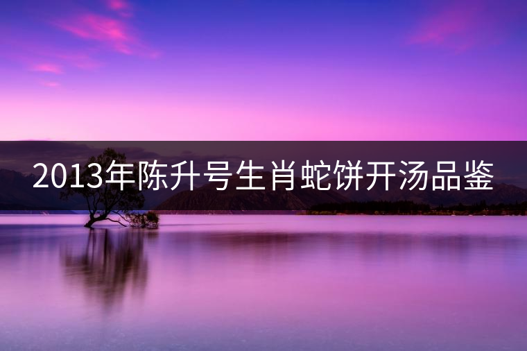 2013年陳升號生肖蛇餅開湯品鑒