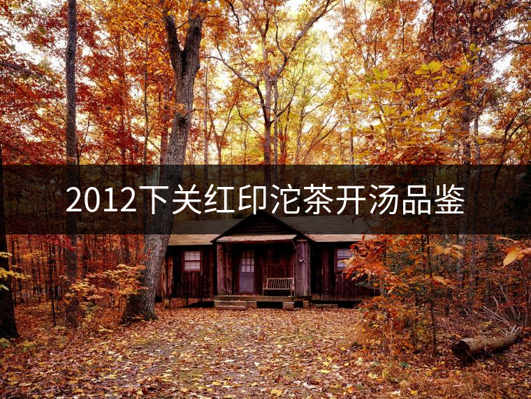 2012下關紅印沱茶開湯品鑒