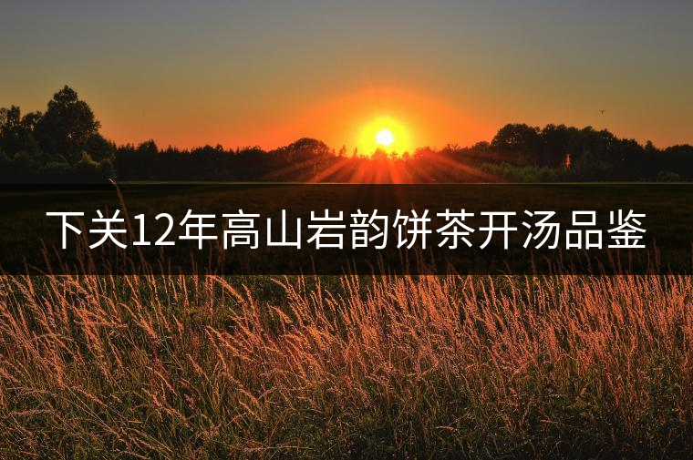 下關(guān)12年高山巖韻餅茶開湯品鑒 下關(guān)12年高山巖韻餅茶開湯品鑒
