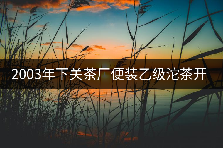 2003年下關(guān)茶廠便裝乙級(jí)沱茶開(kāi)湯品鑒