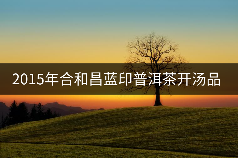 2015年合和昌藍(lán)印普洱茶開(kāi)湯品鑒