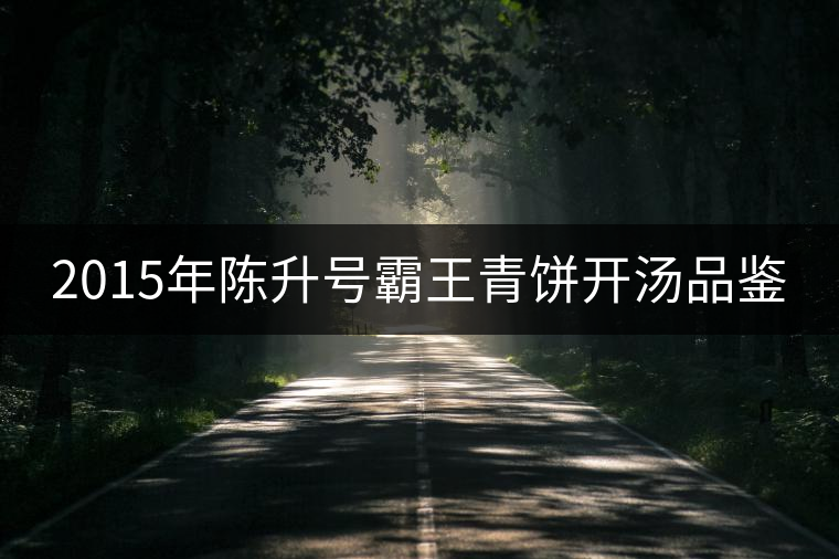 2015年陳升號霸王青餅開湯品鑒 2015年陳升號霸王青餅開湯品鑒