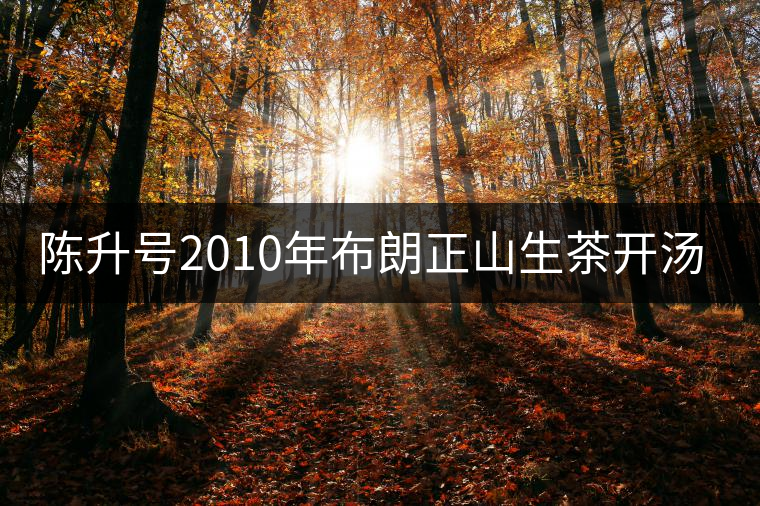 陳升號(hào)2010年布朗正山生茶開湯品鑒 陳升號(hào)2010年布朗正山生茶開湯品鑒