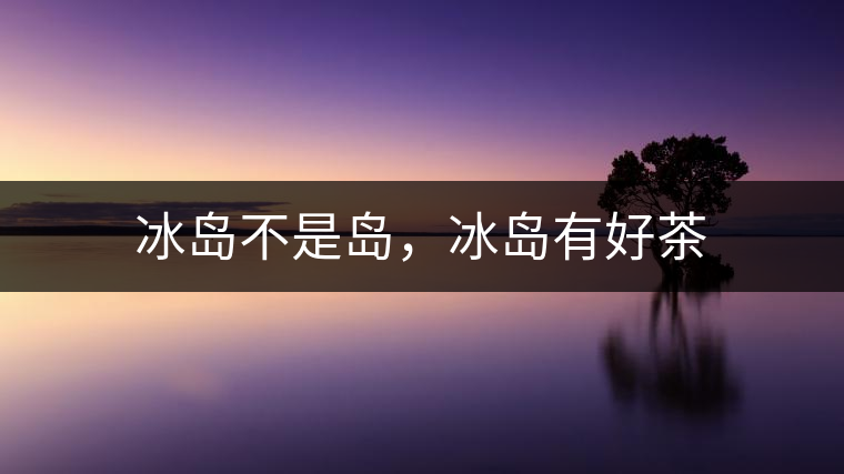 冰島不是島，冰島有好茶