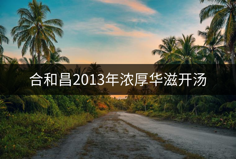 合和昌2013年濃厚華滋開湯