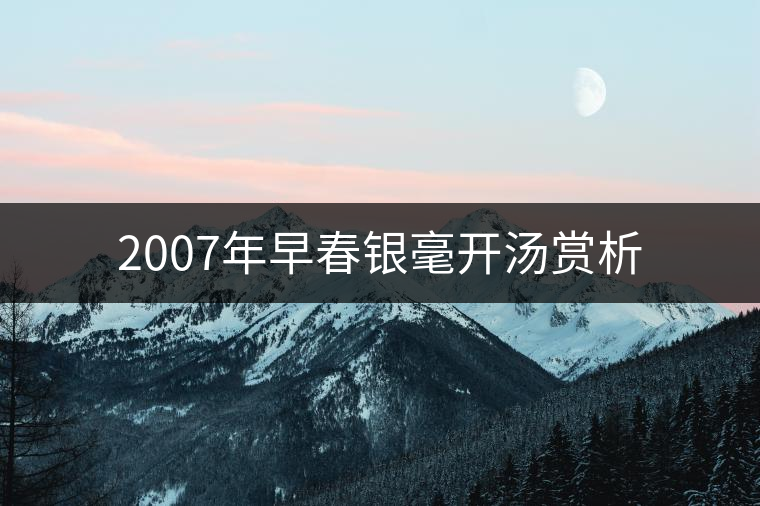 2007年早春銀毫開(kāi)湯賞析 2007年早春銀毫開(kāi)湯賞析