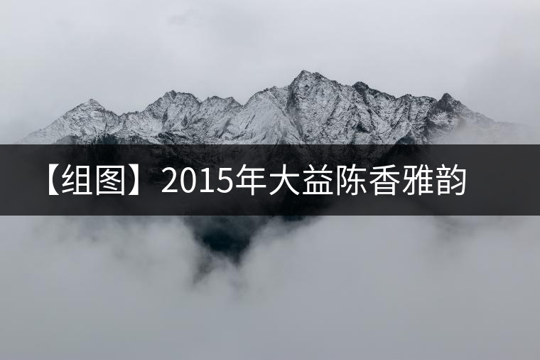 【組圖】2015年大益陳香雅韻開湯 【組圖】2015年大益陳香雅韻開湯