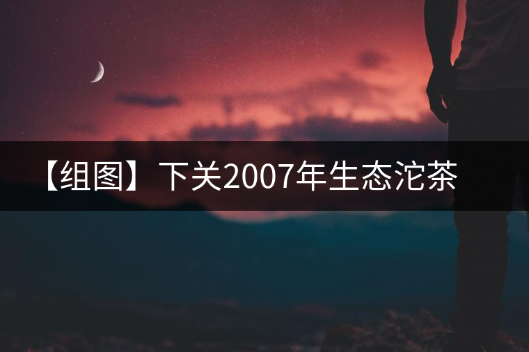 【組圖】下關(guān)2007年生態(tài)沱茶開湯 【組圖】下關(guān)2007年生態(tài)沱茶開湯