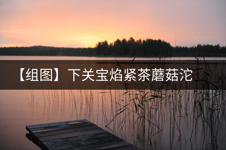 【組圖】下關(guān)寶焰緊茶蘑菇沱開(kāi)湯