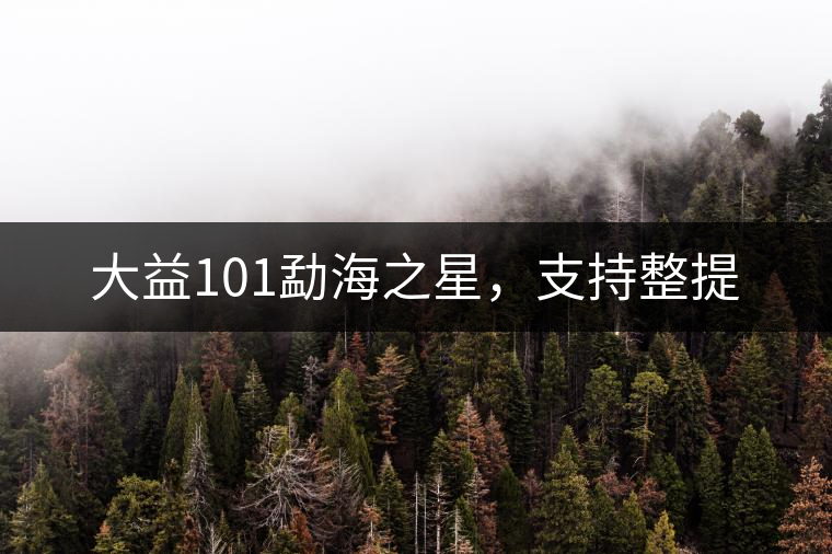 大益101勐海之星，支持整提