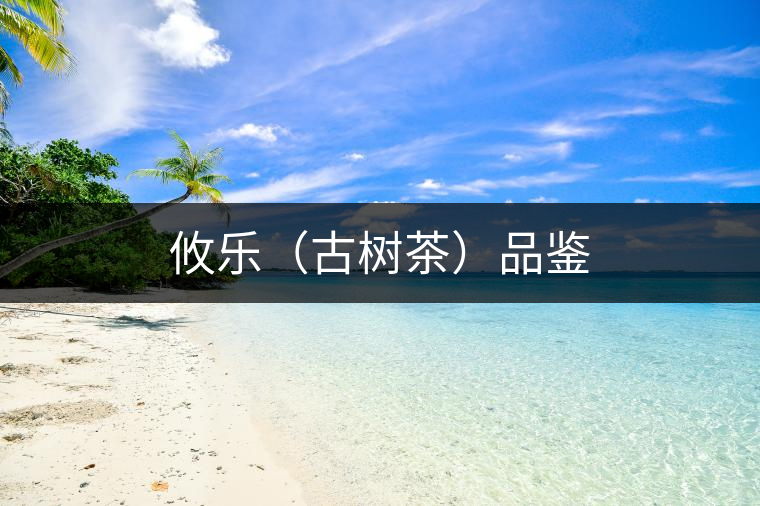 攸樂（古樹茶）品鑒