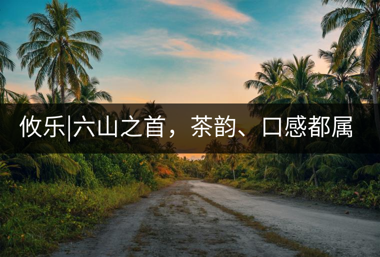 攸樂|六山之首，茶韻、口感都屬古六山一系