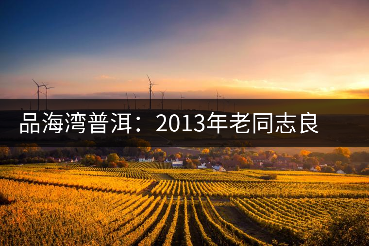 品海灣普洱：2013年老同志良再品普洱茶開湯