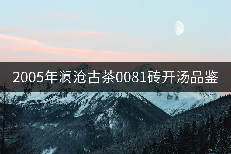 2005年瀾滄古茶0081磚開湯品鑒 2005年瀾滄古茶0081磚開湯品鑒