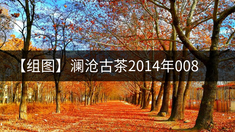 【組圖】瀾滄古茶2014年0085金磚開(kāi)湯