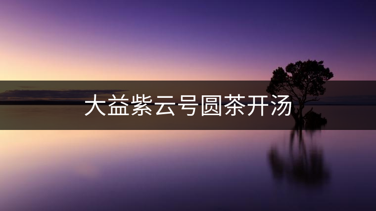 大益紫云號圓茶開湯