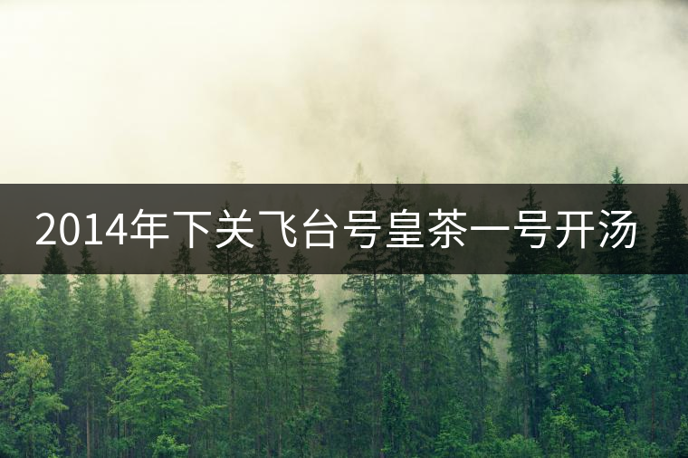 2014年下關(guān)飛臺(tái)號(hào)皇茶一號(hào)開(kāi)湯品鑒 2014年下關(guān)飛臺(tái)號(hào)皇茶一號(hào)開(kāi)湯品鑒