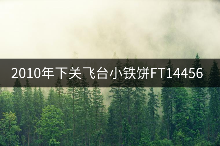 2010年下關(guān)飛臺小鐵餅FT14456開湯