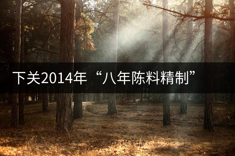下關(guān)2014年“八年陳料精制”版高原陳開(kāi)湯 下關(guān)2014年“八年陳料精制”版高原陳開(kāi)湯
