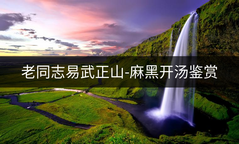 老同志易武正山-麻黑開湯鑒賞 老同志易武正山-麻黑開湯鑒賞