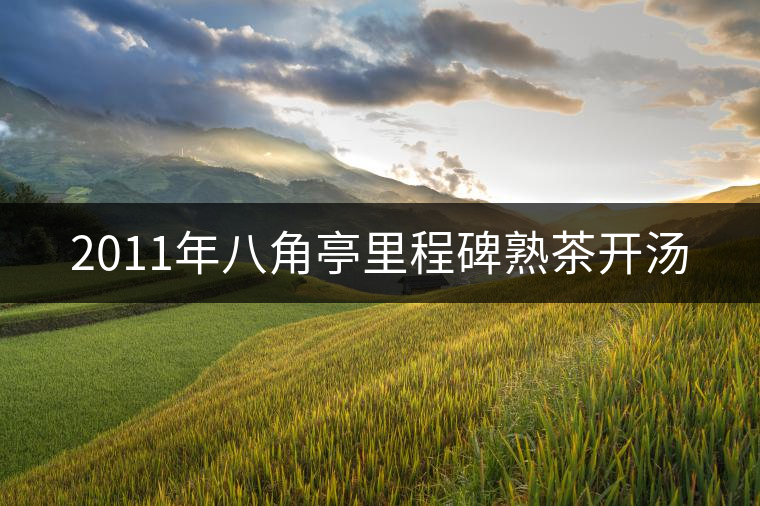2011年八角亭里程碑熟茶開(kāi)湯 2011年八角亭里程碑熟茶開(kāi)湯